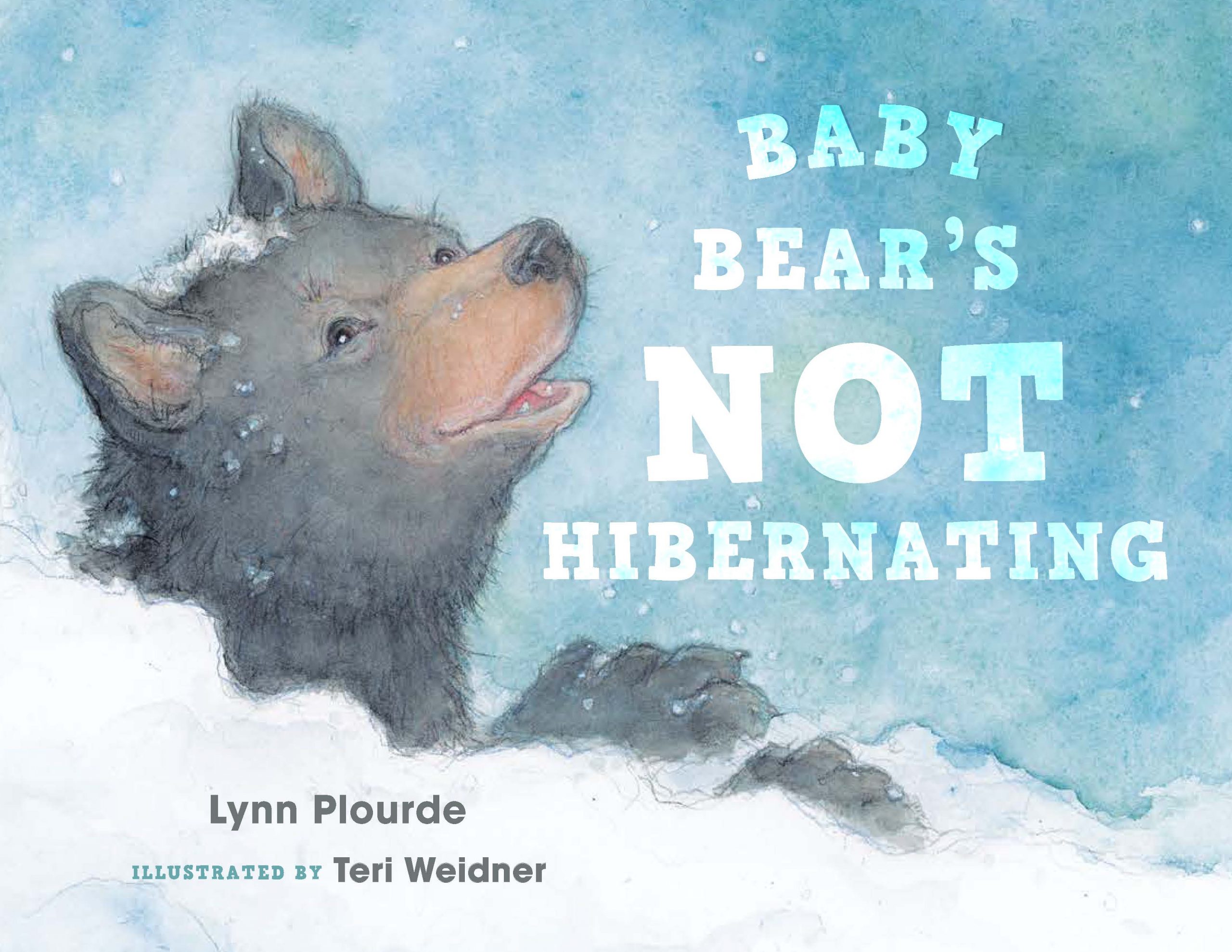 Baby Bear_front cover